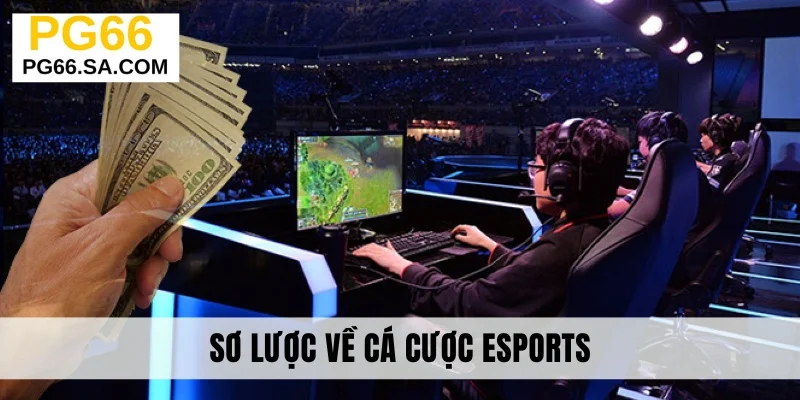 Sơ lược về cá cược Esports