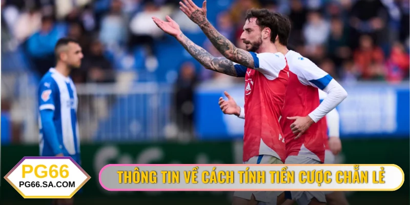 Thông tin về cách tính tiền cược chẵn lẻ